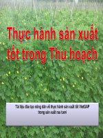 Tập huấn sản xuất rau theo tiêu chuẩn VietGAP - Bài 4: Thu hoạch sản phẩm