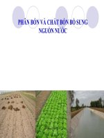 Tập huấn sản xuất rau theo tiêu chuẩn VietGAP - Bài 2: Phân bón và chất bón