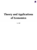 theory and applications of economics 