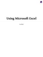 using microsoft excel v1 1 