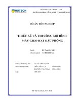 Thiết kế và thi công mô hình máy gieo hạt đậu phộng 
