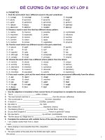 ĐỀ CƯƠNG ôn tập tiếng anh lớp 8 học kỳ 1 