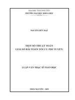 Một số thuật toán giải số bài toán tối ưu phi tuyến 