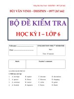 bộ đề kiểm tra học kì 1 tiếng anh 6 thí điểm bùi văn vinh 
