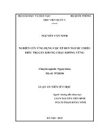 Nghiên cứu ứng dụng cọc ép ren ngược chiều điều trị gãy khung chậu không vững