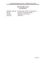 Tiểu luận kế toán quản trị công ty bia SDM 