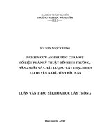 Nghiên cứu ảnh hưởng của một số biện pháp kỹ thuật đến sinh trưởng, năng suất và chất lượng cây thạch đen tại huyện na rì, tỉnh bắc kạn 