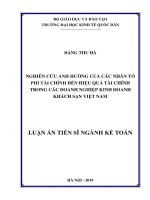 Nghiên cứu ảnh hưởng của các nhân tố phi tài chính đến hiệu quả tài chính trong các doanh nghiệp kinh doanh khách sạn việt nam 