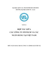 Tiểu luận ngân hàng trung ương và chính sách tiền tệ hợp tác giữa các công ty fintech và các ngân hàng tại việt nam 