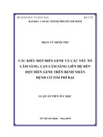 CÁC KIỂU đột BIẾN GEN và các yếu tố lâm SÀNG, cận lâm SÀNG LIÊN hệ đến đột BIẾN GEN TRÊN BỆNH NHÂN BỆNH cơ TIM PHÌ đại 