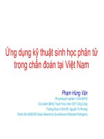 Ứng dụng kỹ thuật sinh học phân tử trong chẩn đoán tại Việt Nam