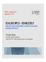 SeamlessUnified MPLS