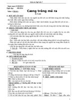 Giáo án ngữ văn 7 soạn theo định hướng phát triển năng lực HS