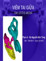 CHUẨN ĐOÁN ĐIỀU TRỊ BỆNH VIÊM TAI GIỮA