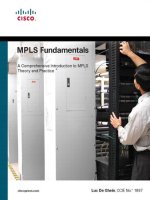 MPLS fundamentals (first read)
