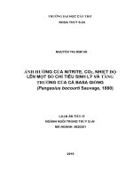 Ảnh hưởng của nitrite, CO2 và nhiệt độ lên một số chỉ tiêu sinh lý và tăng trưởng của cá basa giống (pangasius bocourti sauvage, 1880)
