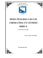 PHÂN TÍCH báo cáo tài CHÍNH CÔNG TY cổ PHẦN BIBICA