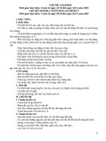 Nhánh 2 ngôi nhà gia đình ở