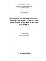 Bài toán ngược vận động robot dạng người trong phân tích ổn định, tạo dáng và điều khiển ứng dụng mô hình mạng rơ rôn MIMO NARX thích nghi
