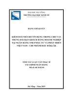 Kiểm soát rủi ro tín dụng trong cho vay trung dài hạn doanh nghiệp tại ngân hàng thương mại cổ phần đầu tư và phát triển việt nam – chi nhánh bắc đắk lắk