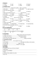 bài tập học kì 1 tiếng anh 7 test 1