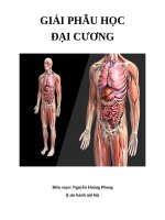 giải phẫu cơ thể người cơ bản