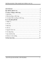 BÁO CÁO THỰC TẬP ĐỘNG CƠ ĐỐT TRONG ( CHÍNH THỨC)