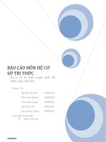 Báo cáo kết quả bài tập lớn (dự án môn học) và tài liệu tham khảo tự đọc thêm về hệ chuyên gia 