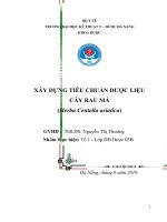 xây dựng tiêu chuẩn dược liệu cây rau má