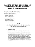 Báo cáo kết quả nghiên cứu đề tài môn học thống kê trong kinh tế và kinh doanh 