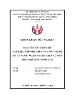 NGHIÊN cứu điều CHẾ vật LIỆU hấp PHỤ ASEN và CÔNG NGHỆ xử lý nước NGẦM NHIỄM ASEN từ bùn THẢI NHÀ máy nước cấp 
