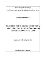 Phân tích chuỗi giá trị và hiệu quả sản xuất của các hộ nuôi cá tra ở đồng bằng sông cửu long 