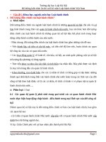 Hệ thống kiến thức ôn thi cuối kì môn Luật hành chính Việt Nam phiên bản cập nhật