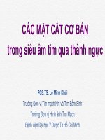 Các mặt cắt cơ bản trong siêu âm tim