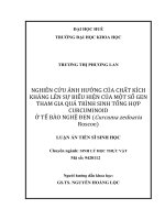 Nghiên cứu ảnh hưởng của chất kích kháng lên sự biểu hiện của một số gen tham gia vào quá trình tổng hợp curcuminoid ở tế bào nghệ đen (Curcuma zedoaria Roscoe)