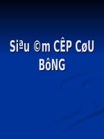 SIÊU ÂM CẤP CỨU BỤNG