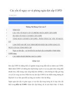 Các yếu tố nguy cơ và phòng ngừa đợt cấp COPD , DỰ BÁO VỀ NGUY CƠ, ĐỢT CẤP COPD, TĂNG NGUY CƠ ,ĐỢT CẤP COPD ,PHÂN TÍCH CÁC YẾU TỐ, NGUY CƠ