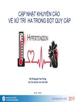 CẬP NHẬT KHUYẾN CÁO VỀ XỬ TRÍ HA TRONG ĐỘT QUỴ CẤP, DỊCH TỄ HỌC ĐỘT QUỴ NÃO