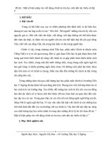 Sáng kiến kinh nghiệm một số biện pháp rèn viết đúng chính tả cho học sinh dân tộc thiểu số lớp 4 