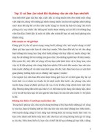 Top 11 sai lầm cần tránh khi đi phỏng vấn xin việc bạn nên biết