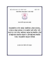 Nghiên cứu đặc điểm lâm sàng, cận lâm sàng và một số yếu tố nguy cơ tắc động mạch phổi cấp ở bệnh nhân đợt cấp bệnh phổi tắc nghẽn mạn tính