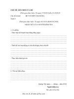 Giáo án:CHỦ ĐỀ: ĐỒ CHƠI CỦA BÉ tuần 5 (25 trang)