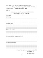 Giáo án: CHỦ ĐỀ IV: CÂY VÀ NHỮNG BÔNG HOA ĐẸP tuần 18 (22 trang)