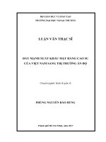 Đẩy mạnh xuất khẩu mặt hàng cao su của việt nam sang thị trường ấn độ (LV thạc sĩ) 