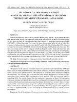 Tác động của trách nhiệm xã hội và giá trị thương hiệu đến hiệu quả tài chính: Trường hợp nhân viên ngành ngân hàng