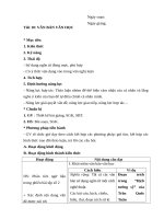 Văn bản văn học: Giáo án văn bản văn học hay