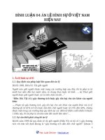 Bình luận 04 án lệ hình sự ở việt nam hiện nay 