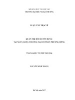 LUẬN văn THẠC sĩ quản trị rủi ro tín dụng tại ngân hàng TMCP phương đông 