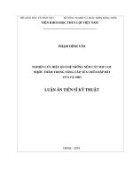 LUẬN án TIẾN sĩ nghiên cứu hiệu quả hệ thống nêm cát thu lọc nước thấm trong nâng cấp sửa chữa đập đất vừa và nhỏ 