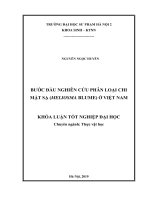 Khoá luận tốt nghiệp bước đầu nghiên cứu phân loại chi mật sạ (meliosma blume) ở việt nam 